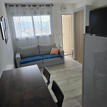 Studio Climatise 50 M.Du Port Saint-Cyprien  Εξωτερικό φωτογραφία