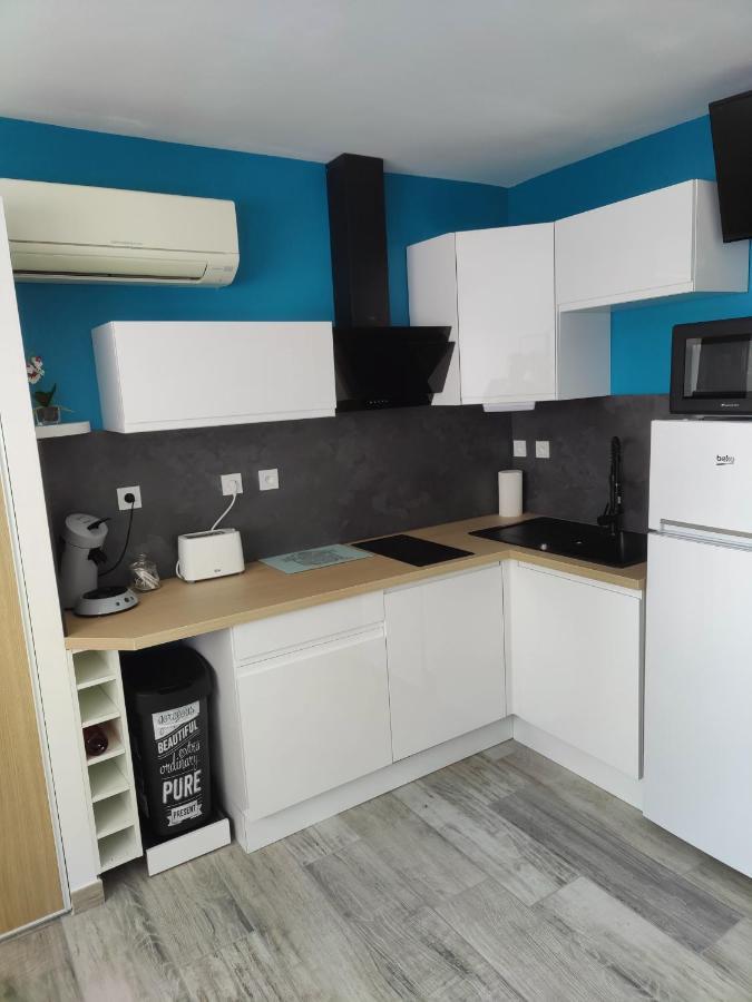 Studio Climatise 50 M.Du Port Saint-Cyprien  Εξωτερικό φωτογραφία