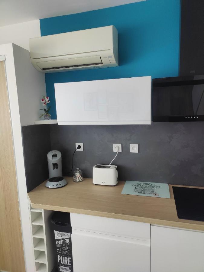 Studio Climatise 50 M.Du Port Saint-Cyprien  Εξωτερικό φωτογραφία