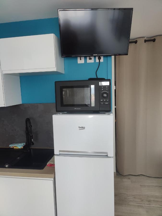 Studio Climatise 50 M.Du Port Saint-Cyprien  Εξωτερικό φωτογραφία