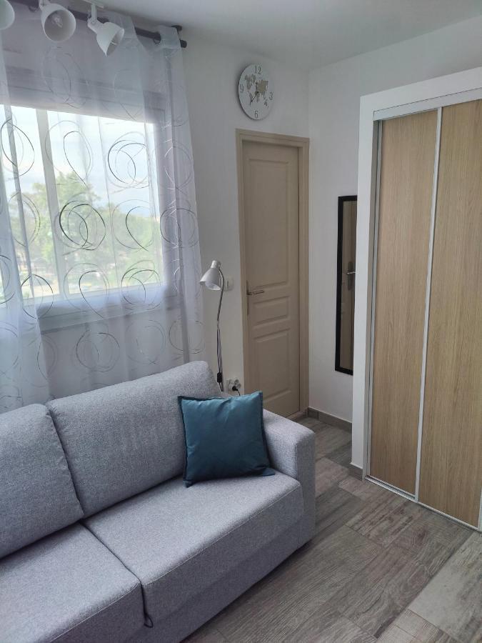 Studio Climatise 50 M.Du Port Saint-Cyprien  Εξωτερικό φωτογραφία