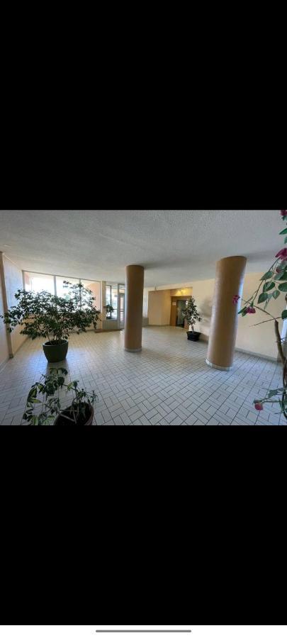 Studio Climatise 50 M.Du Port Saint-Cyprien  Εξωτερικό φωτογραφία