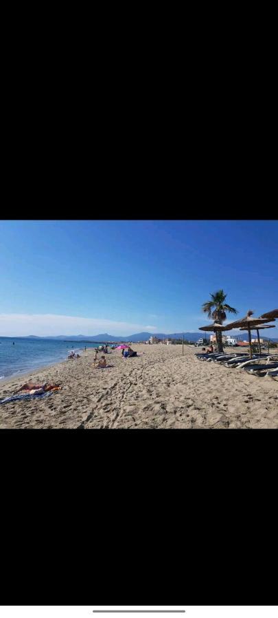 Studio Climatise 50 M.Du Port Saint-Cyprien  Εξωτερικό φωτογραφία